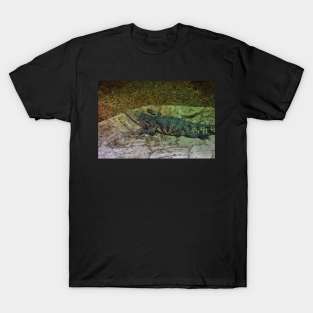 Crocodile T-Shirt